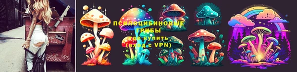 прущие крисы Алзамай