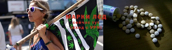 прущие крисы Арсеньев