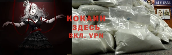 прущие крисы Алзамай