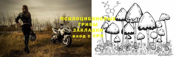 амфетамин Алексеевка
